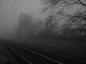köd